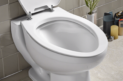 Fix These 7 Common Toilet Problems Without Calling a Plumber